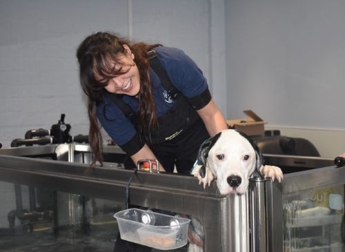 Staff | Archway Veterinary Centre Chepstow