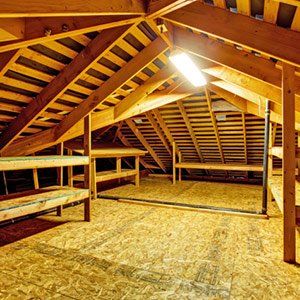 Empty attic with storage shelves - Pest Control in Spring Hill, FL
