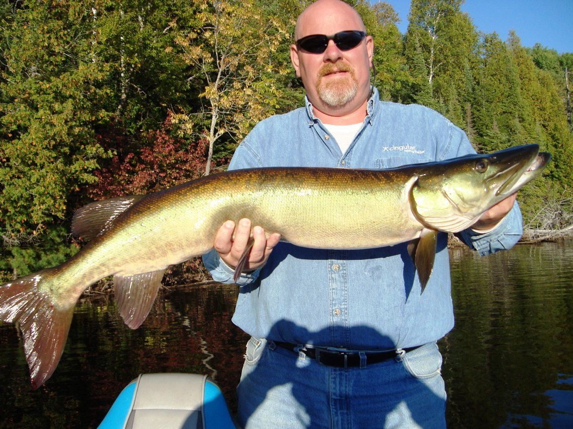 A man is holding a large fish in his hands.
