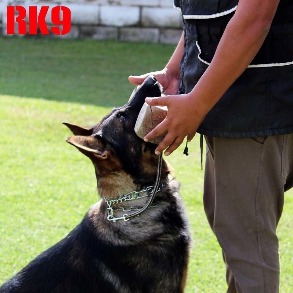 Adiestramiento Canino Guadalajara
