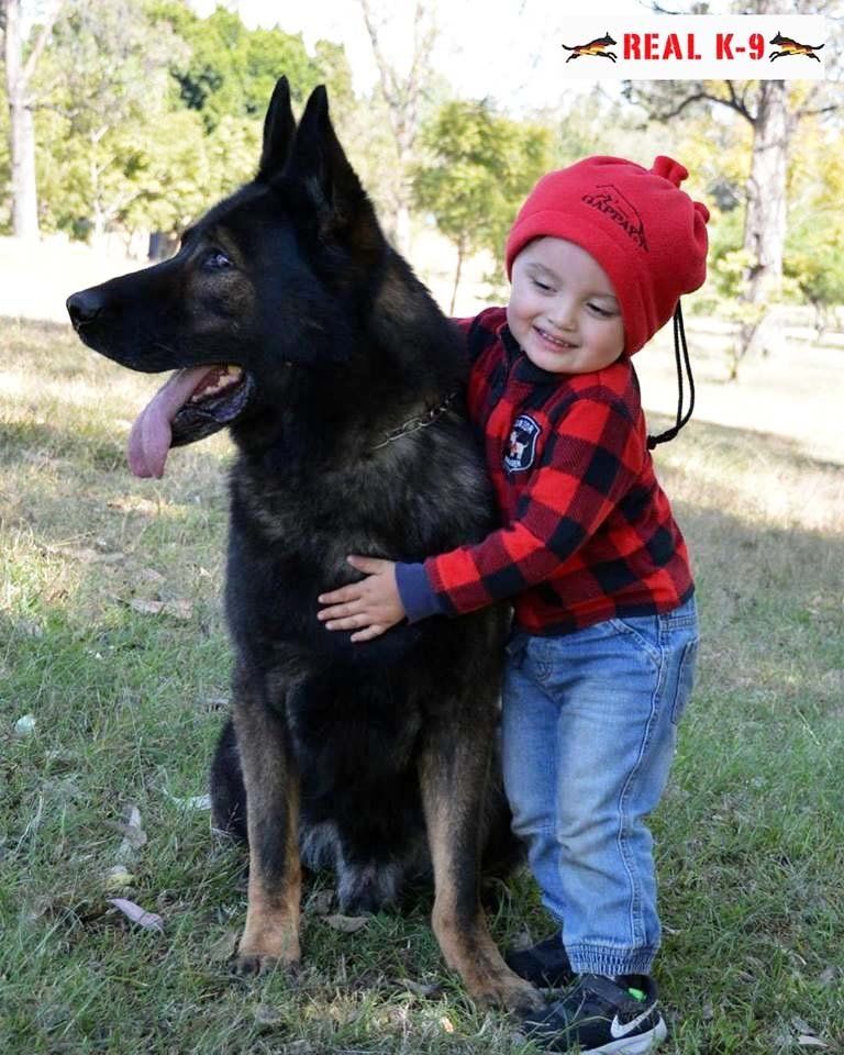 familia Real K9