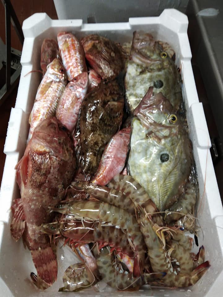 Pesce fresco