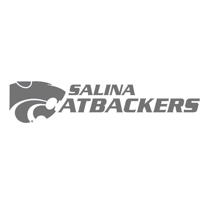 Website design - Salina, KS