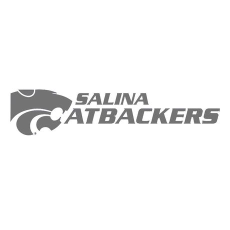 business websites Salina ks - Salina Catbackers