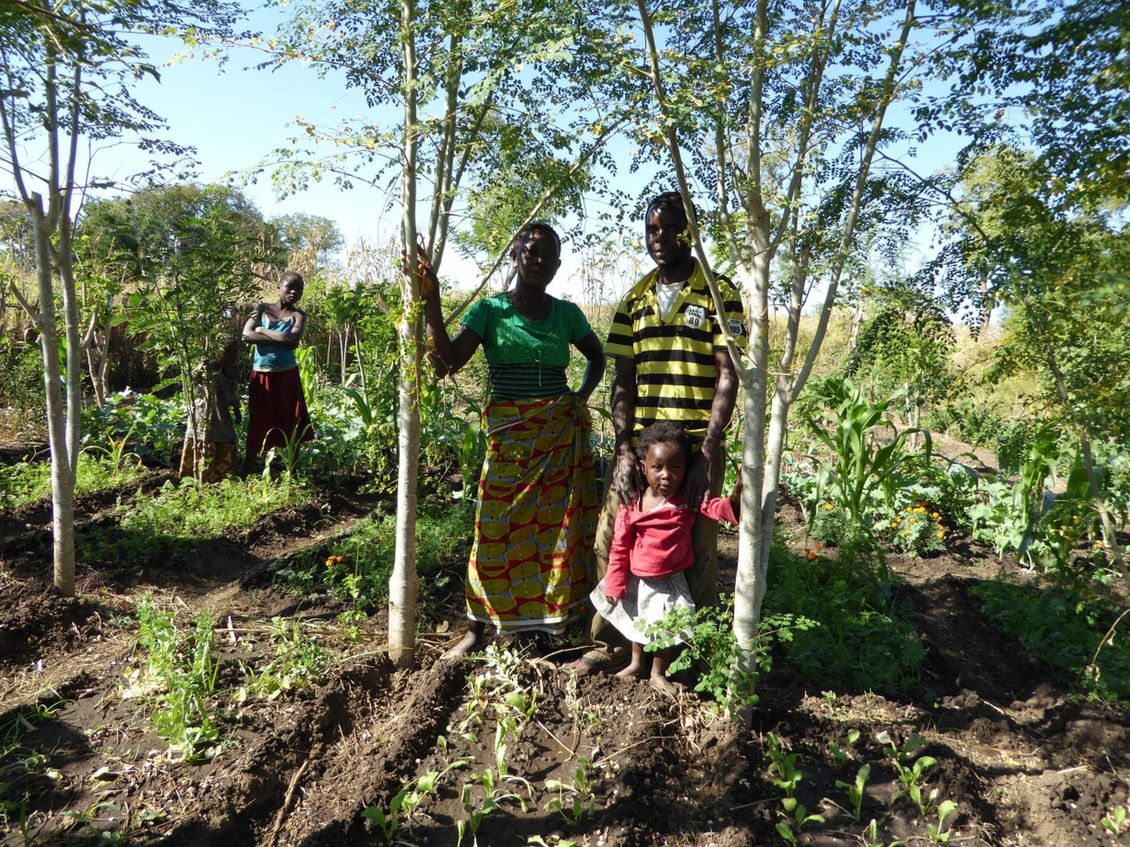 Chitungulu Organic Vegetable Gardening Project