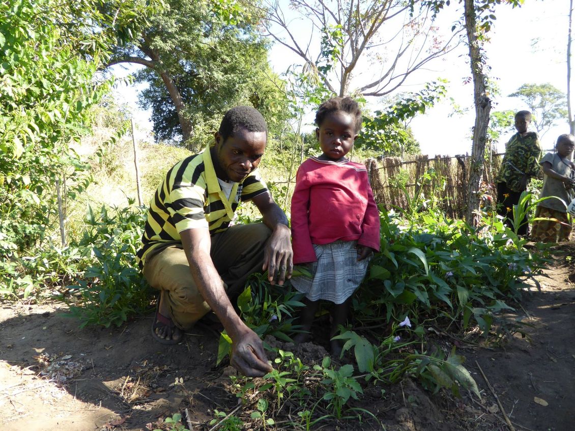 Chitungulu Organic Vegetable Gardening Project