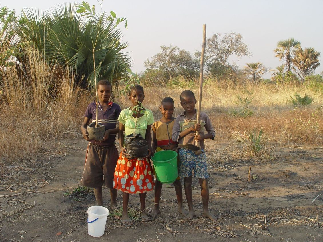 Chitungulu Tree Planting 02