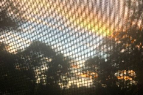 Sunset Through a Screen Window — Goodlettsville, TN — Asberry Windows & Glass Sunset Through a Screen Window — Goodlettsville, TN — Asberry Windows & Glass