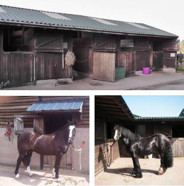 Outdoor stables - Bedworth - Nigel Barratt Outdoor stables - Bedworth - Nigel Barratt