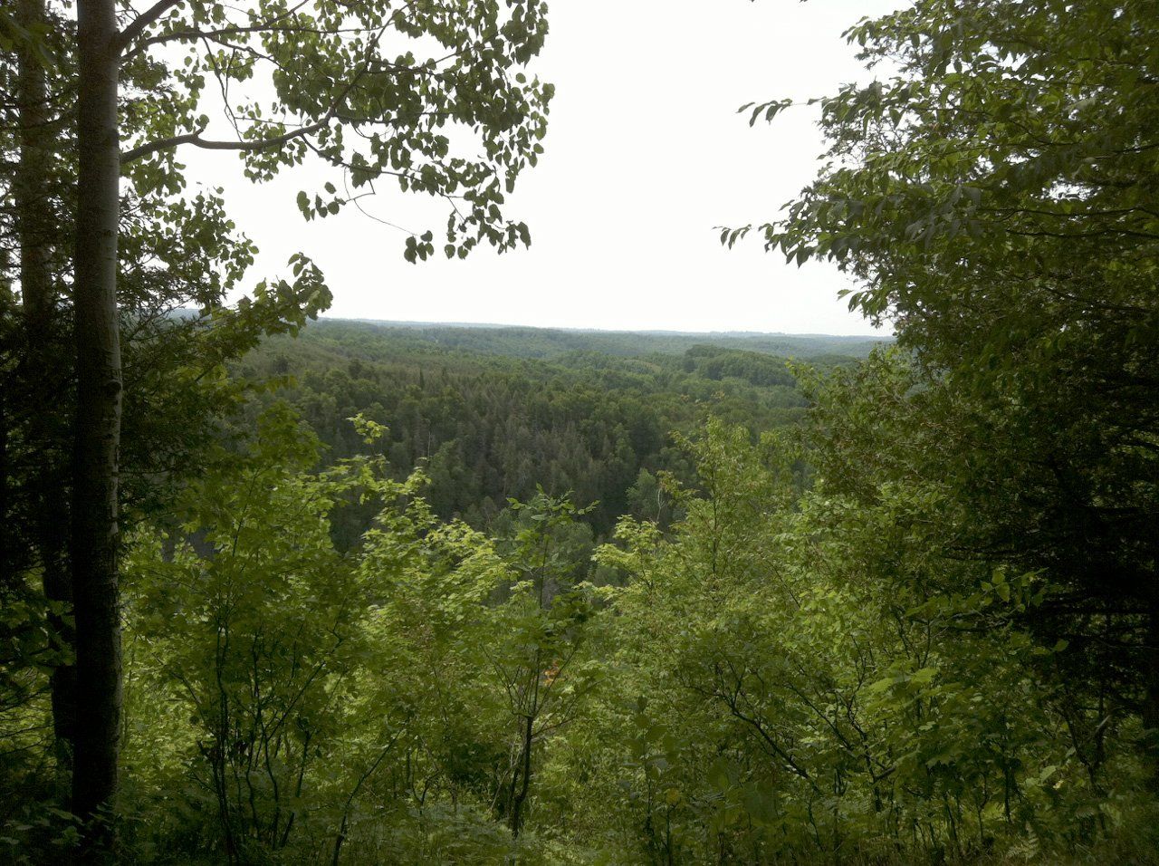 the bruce trail