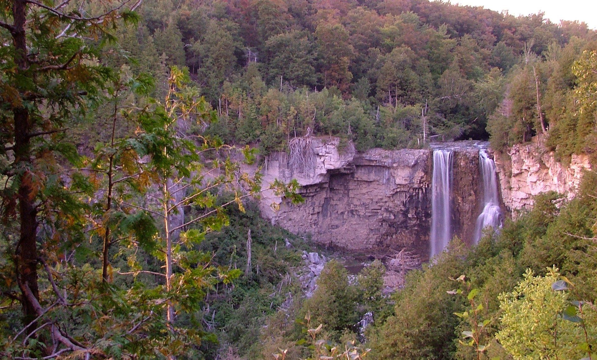 eugenia falls