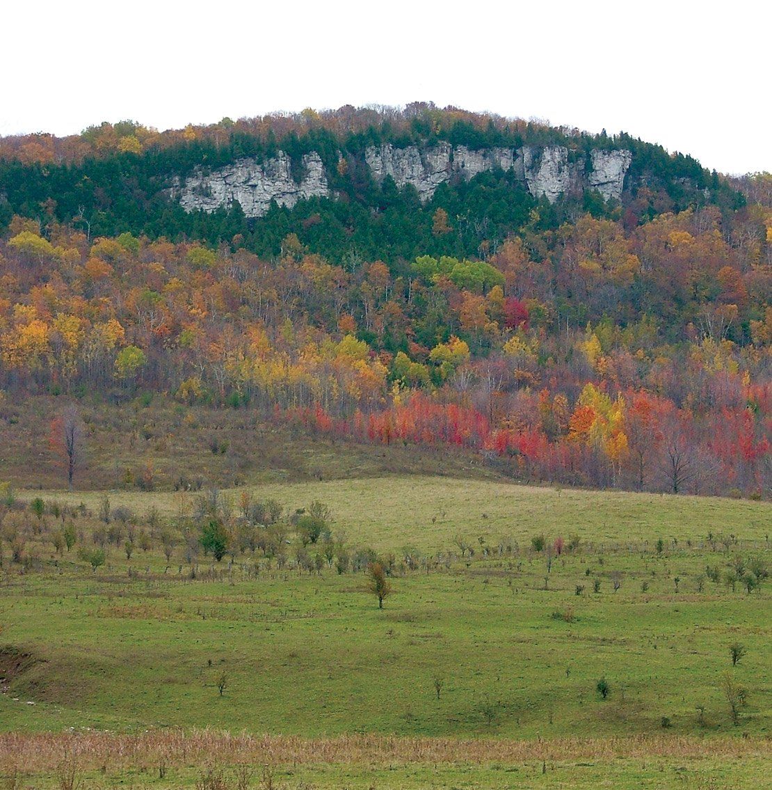 old baldy grey highlands