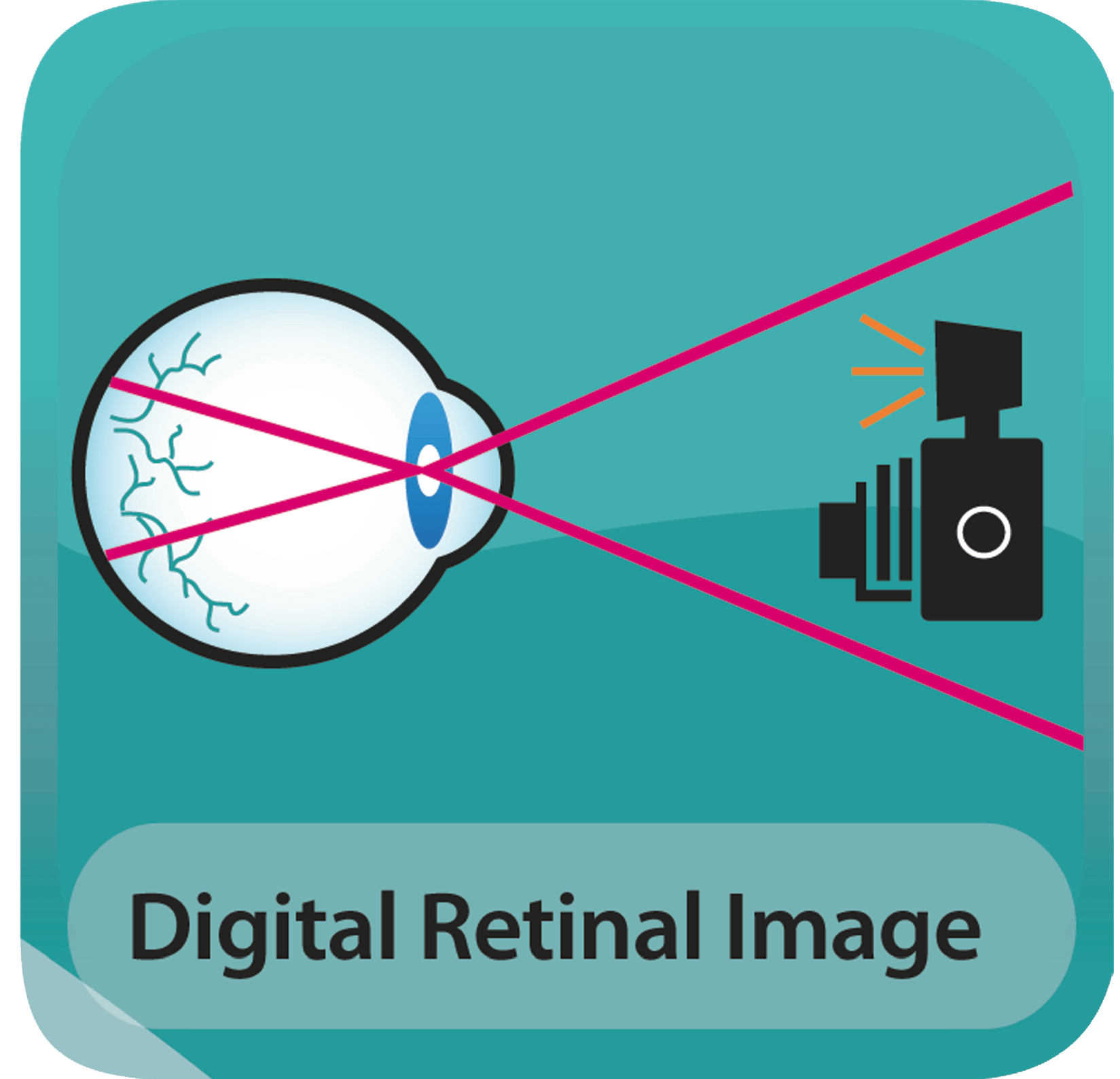 digital retinal image icon