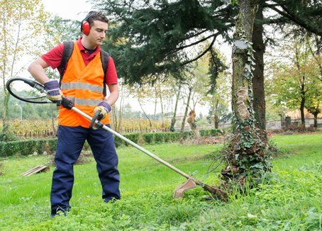 Gardener working — Lawn Service in Bothell, WA Gardener working — Lawn Service in Bothell, WA