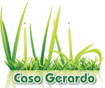 Vivaio Caso-LOGO Vivaio Caso-LOGO