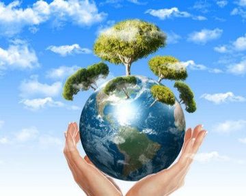 due mani che mantengono un modo con degli alberi