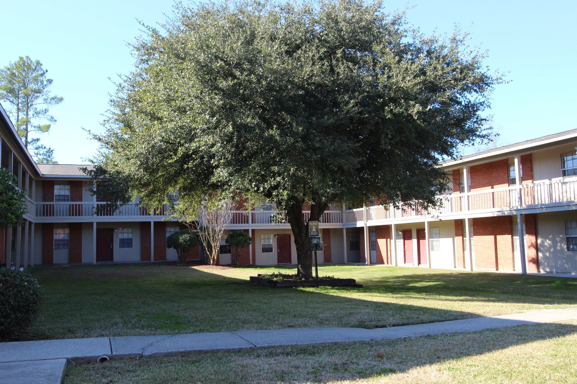 Peppertree