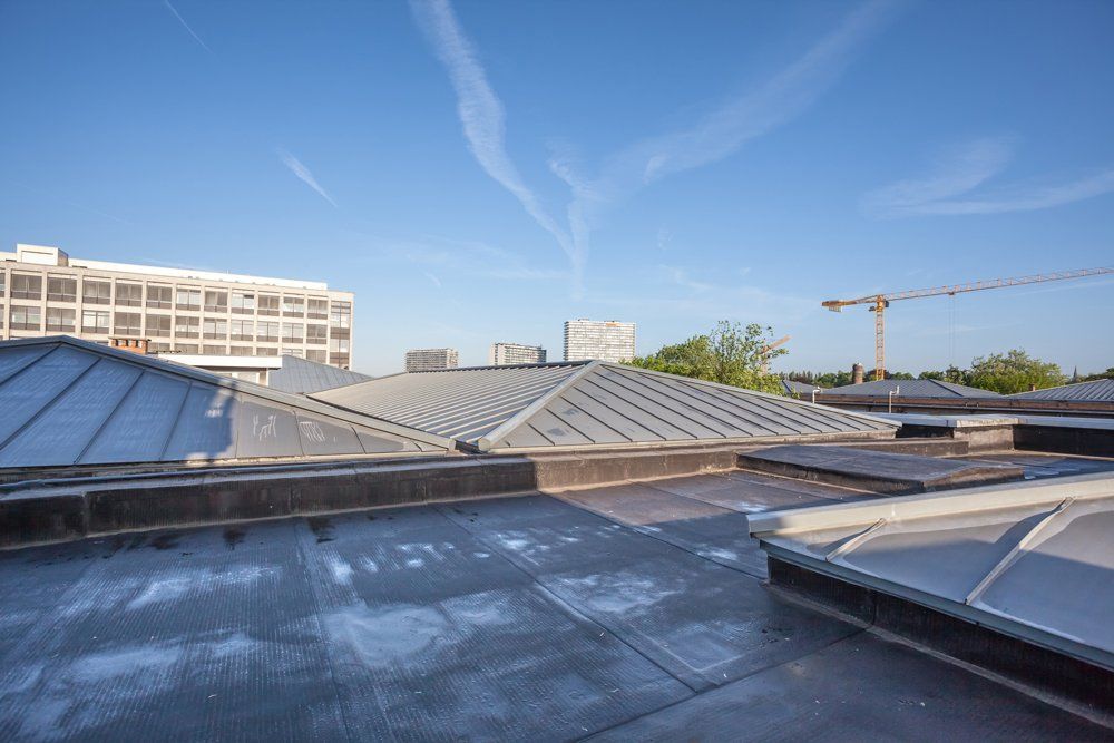 Rooftop with varied metal roofs, skylights, and distant buildings under a blue sky.
