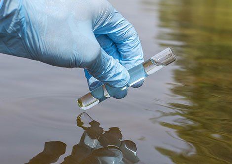 hand holding test tube of water from outside body of water source