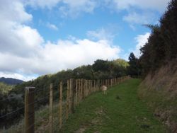Outdoor fence