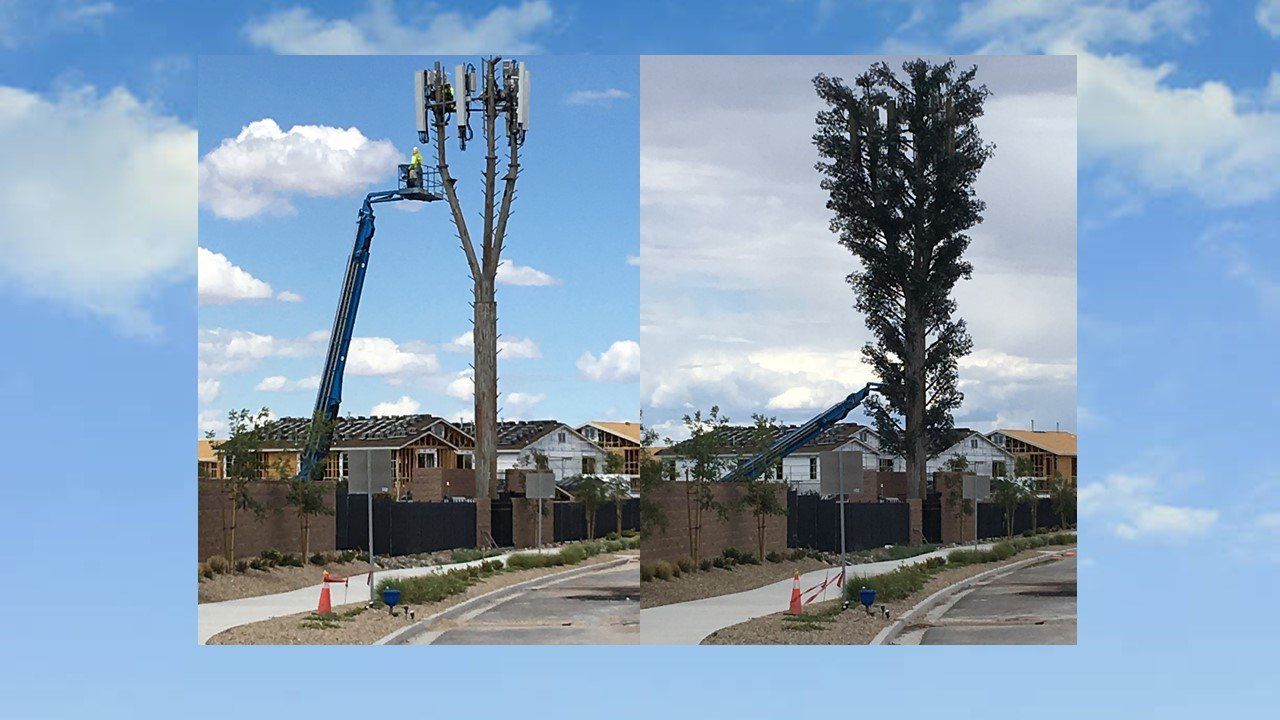 Lennar Rose Ridge cell tower in Henderson, Nevada Lennar Rose Ridge cell tower in Henderson, Nevada