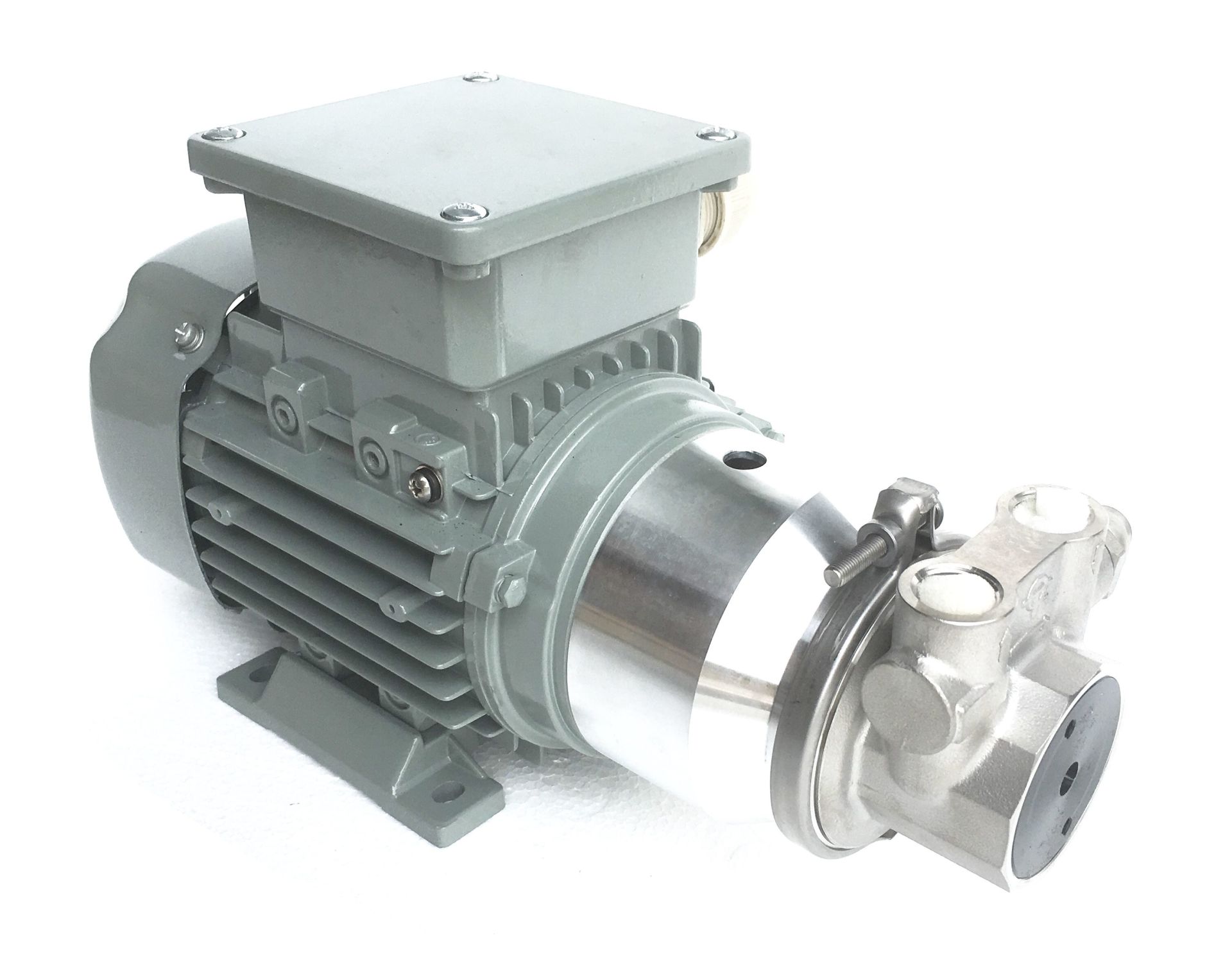 Grauer Elektromotor mit Pumpenkopf aus Edelstahl.