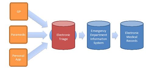 Information flow diagram for Triage