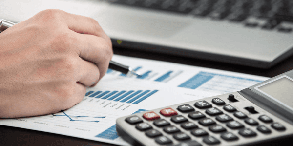 Professional cross checking the financial report