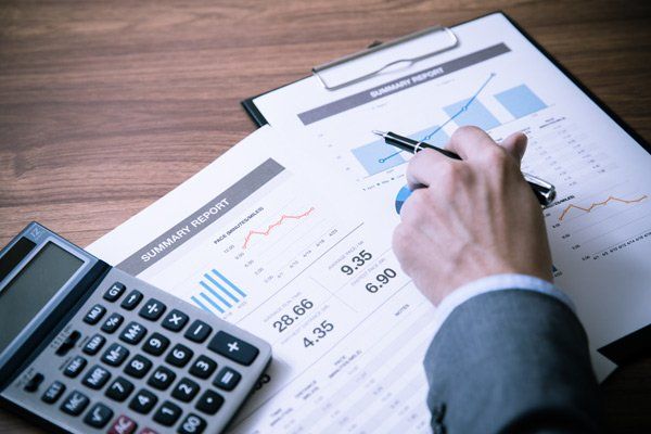 Financial professional checking the report