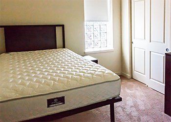 11 s beech bed