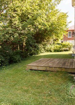 backyard & deck