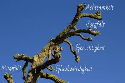 Achtsamkeit