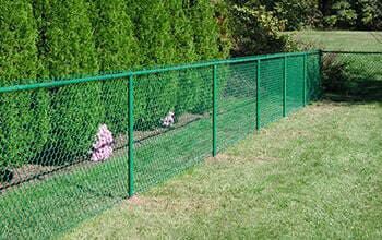 A green chain link fence surrounds a lush green yard.