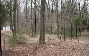 A fence in the middle of a forest with trees without leaves.