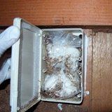 termite baiting