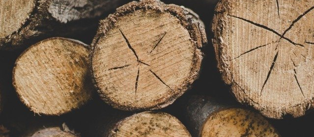 Stewarts Timber Pest Inspection and Control