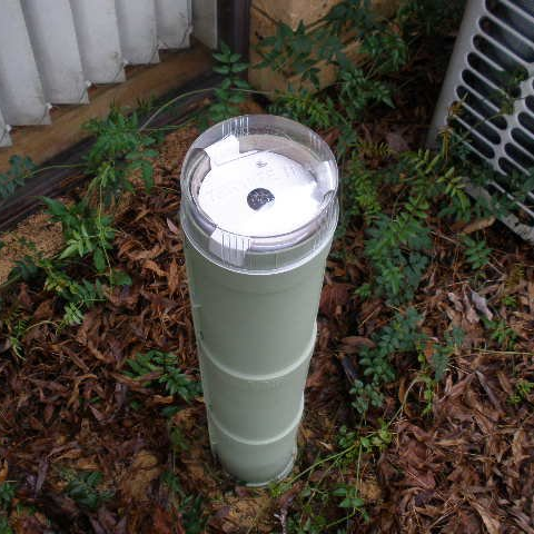 termite traps