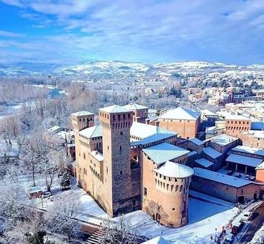 formica con neve