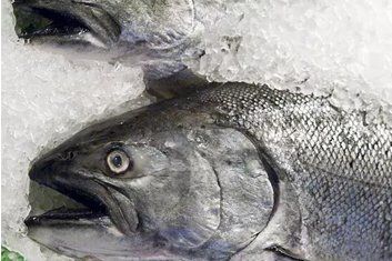 Whole Fish
