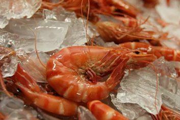 Australian Prawns