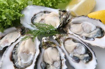 Oysters Shucked/Opened