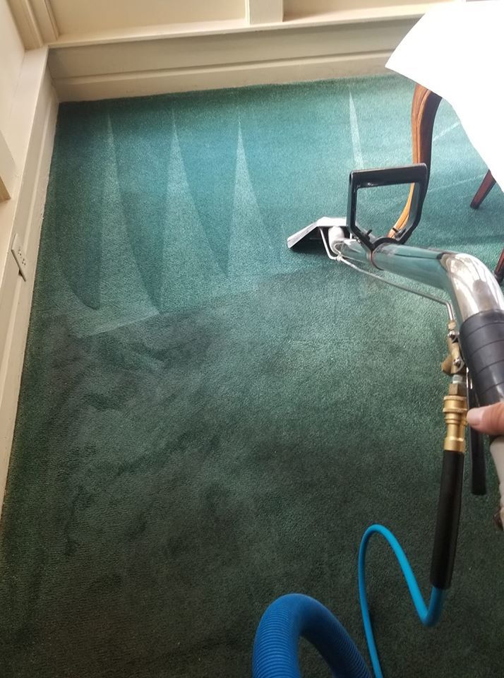 Cleaning the Green Carpet — Naples, FL — Superior Steam
