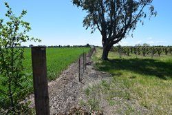 Acampo, California