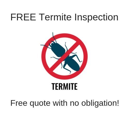 free termite inspection