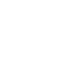 Ant