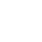 Bed Bug