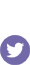 Twitter icon