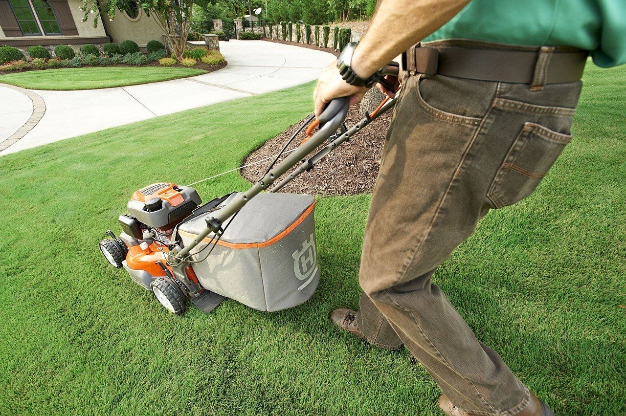 a man pushing a lawn mower on a lush green lawn .