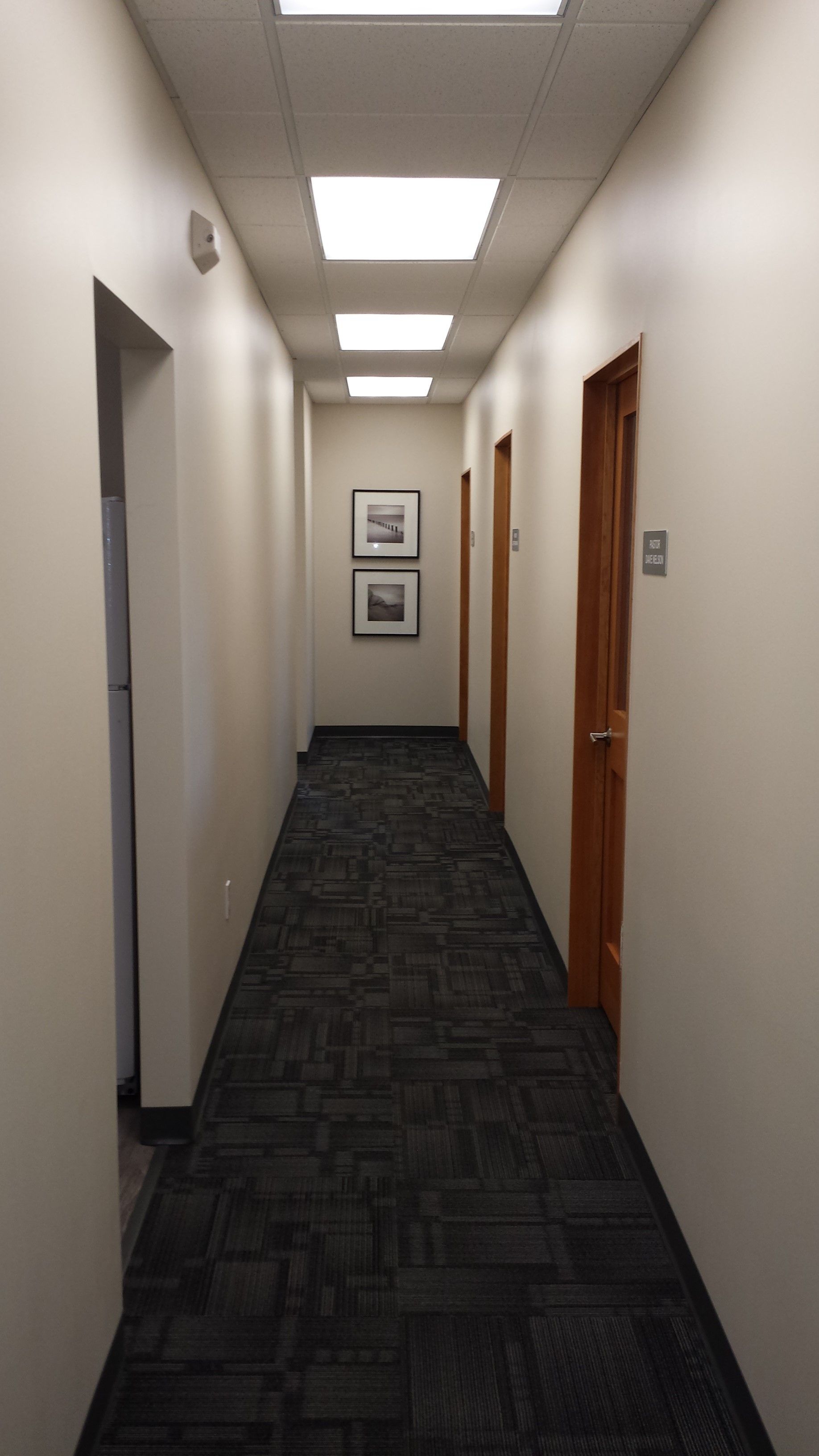 Custom Office Build