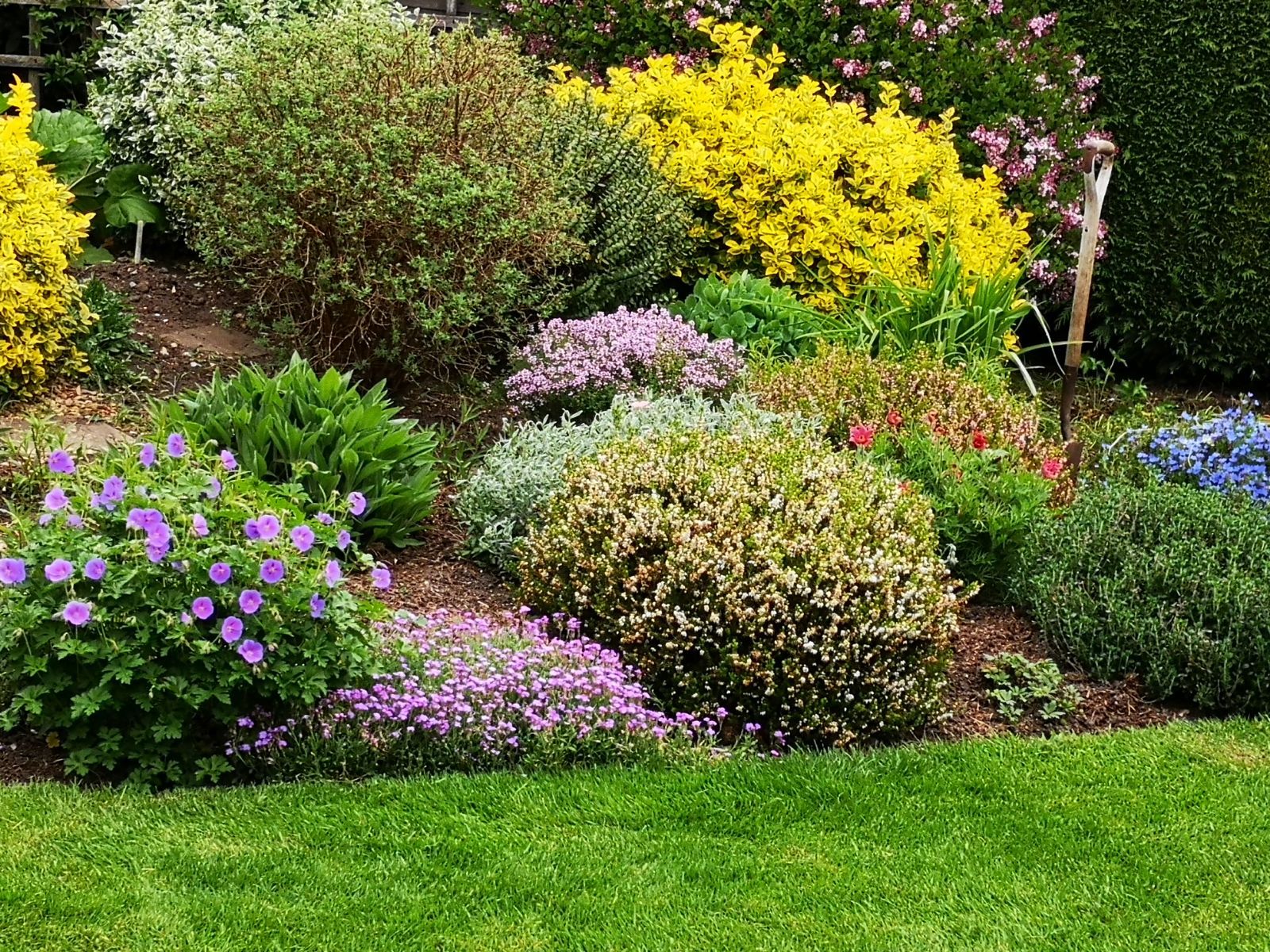 Award winning flower designs Award winning flower beds
